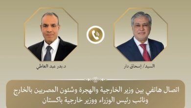 اتصال هاتفي بين وزير خارجية مصر ونظيره الباكستاني