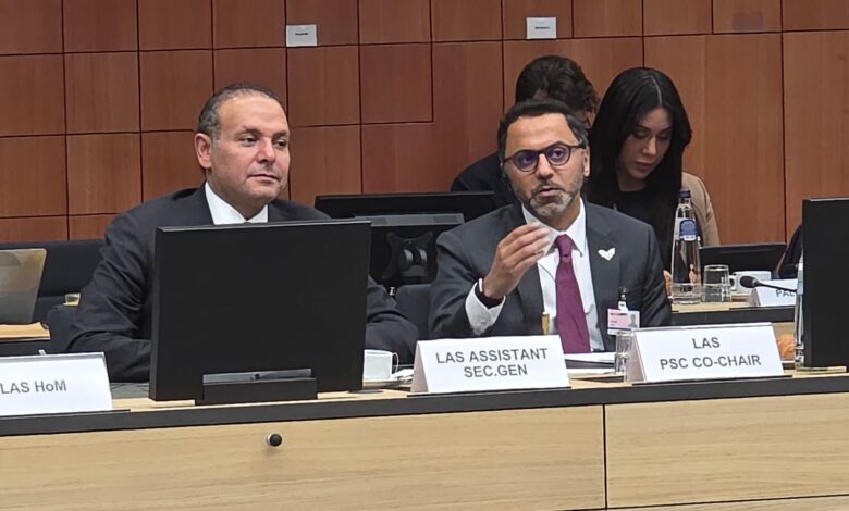 القضية الفلسطينية في اجتماع الاتحاد الأوروبي بحضور المندوبين الدائمين لجامعة الدول العربية القضية الفلسطينية في اجتماع الاتحاد الأوروبي بحضور المندوبين الدائمين لجامعة الدول العربية