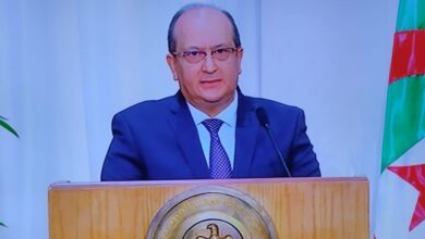 سيفي غريب : الشركات المصرية الناجحة في الجزائر اصبحت نموذجا للمثابرة والنجاح ودلالة على جاذبية البيئه الاستثمارية في الجزائر