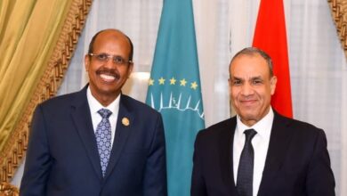 وزير الخارجية يلتقي رئيس مفوضية الاتحاد الأفريقي