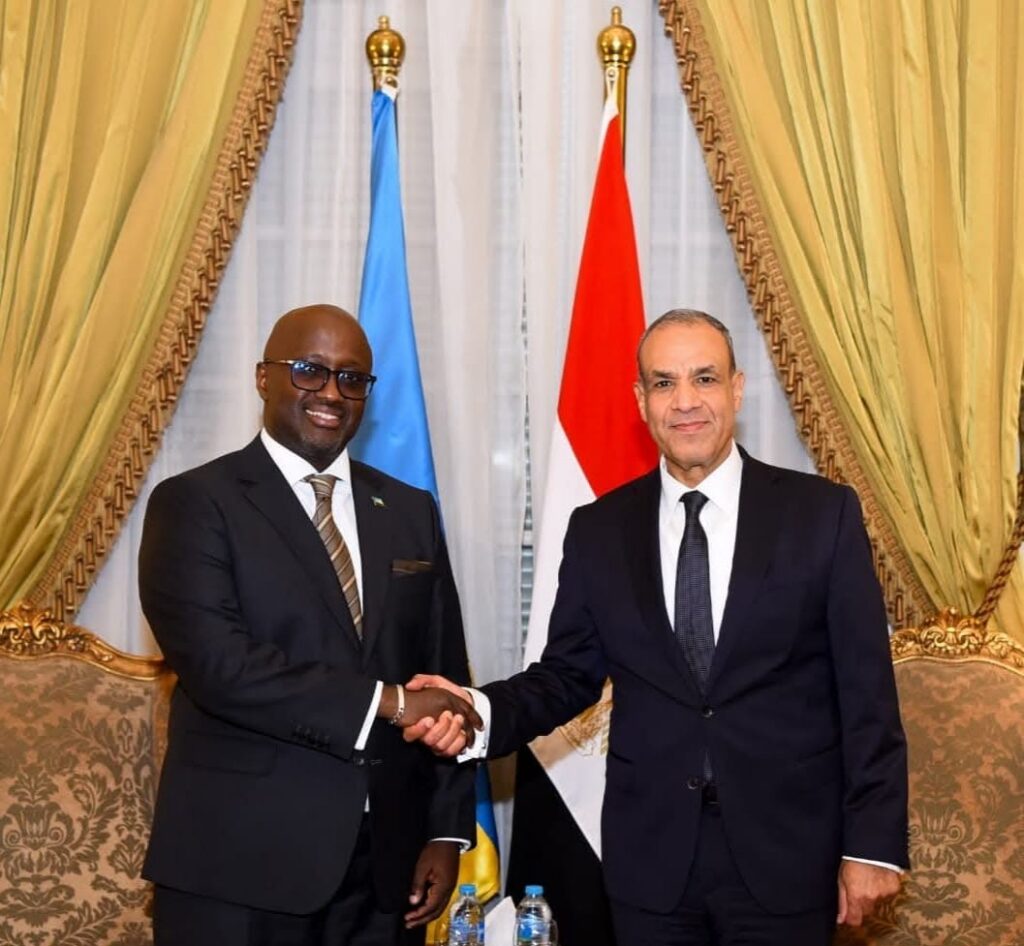 وزير الخارجية يلتقي نظيره الرواندي لبحث تعزيز العلاقات الثنائية وتنسيق الجهود في القارة الأفريقية