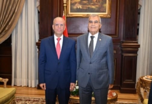 السفير العراقي يلتقي رئيس مجلس الشيوخ في القاهرة.