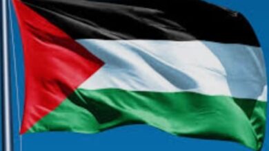 إحياء اليوم العالمي للتضامن مع الشعب الفلسطيني