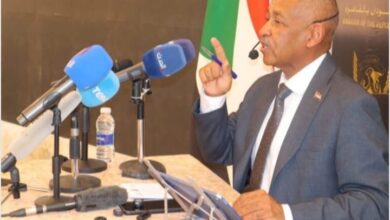 سفير السودان الدولة المصرية حريصة كل الحرص علي وحده السودان وترفض الاعتراف بأي كيان موازي