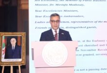 ليله استثنائية من ليالي الامه العربيه وفرحه مصرية جزائرية بثورة الأول من نوفمبر المجيدة