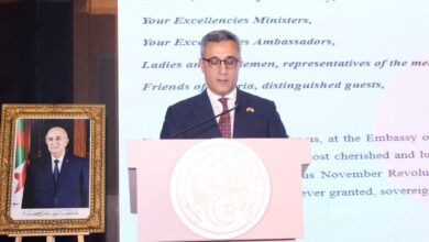 ليله استثنائية من ليالي الامه العربيه وفرحه مصرية جزائرية بثورة الأول من نوفمبر المجيدة ليله استثنائية من ليالي الامه العربيه وفرحه مصرية جزائرية بثورة الأول من نوفمبر المجيدة