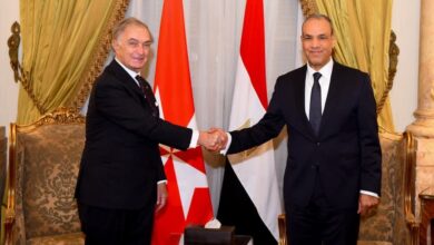 وزير الخارجية يلتقي وزير خارجية فرسان مالطا وزير الخارجية يلتقي وزير خارجية فرسان مالطا