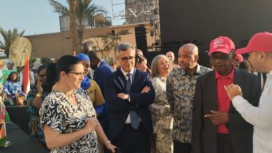 موزمبيق وام على ومحشي المقاولون العرب نجوم معرض ماكولات انجولا موزمبيق وام على ومحشي المقاولون العرب نجوم معرض ماكولات انجولا