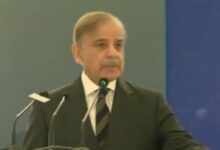 كلمة رئيس الوزراء محمد شهباز شريف بمناسبة اليوم العالمي للتضامن مع الشعب الفلسطيني، ٢٩ نوفمبر ٢٠٢٥