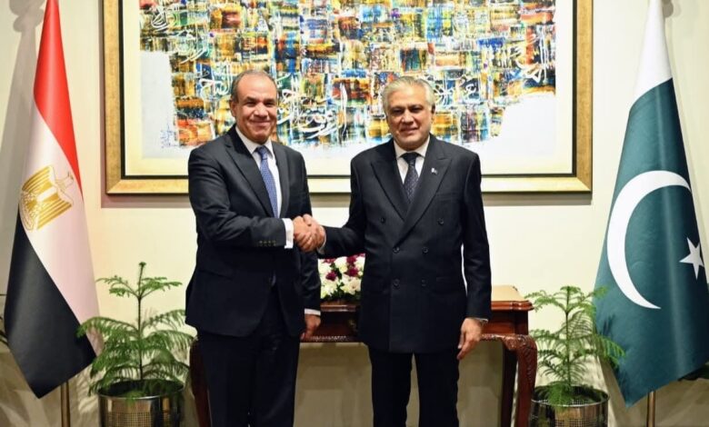 مشاورات سياسية بين وزيرى الخارجية المصرى والباكستاني فى إسلام آباد