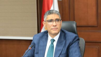 محافظة الجيزة محافظة الجيزة