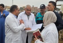 محافظ الجيزة