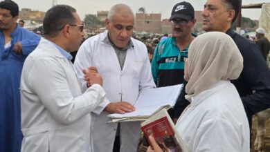 محافظ الجيزة