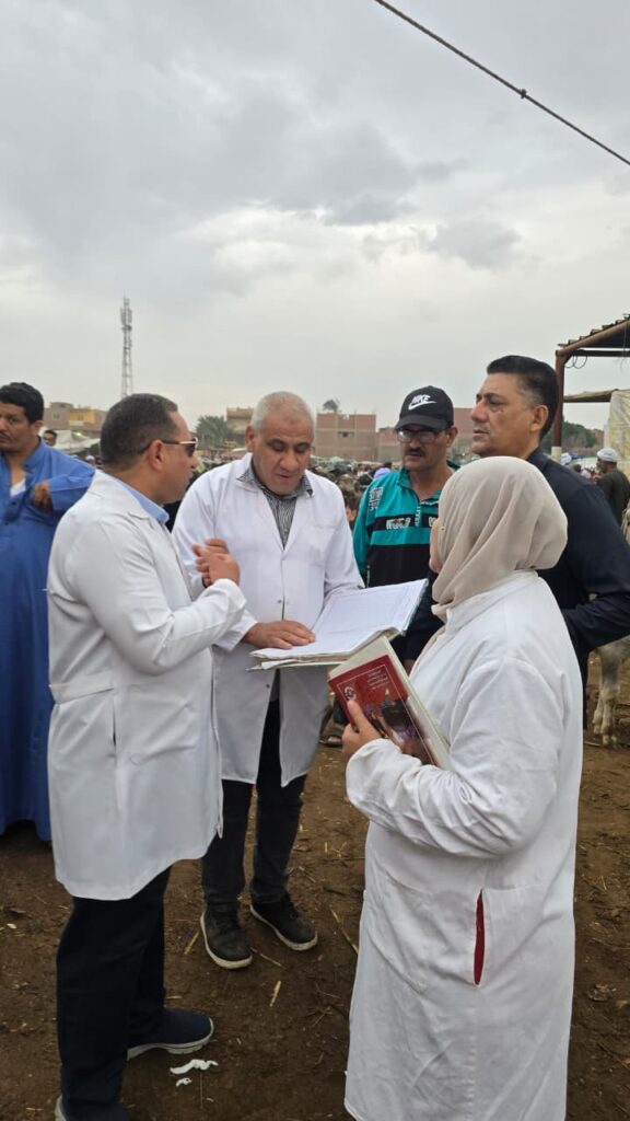 محافظ الجيزة محافظ الجيزة