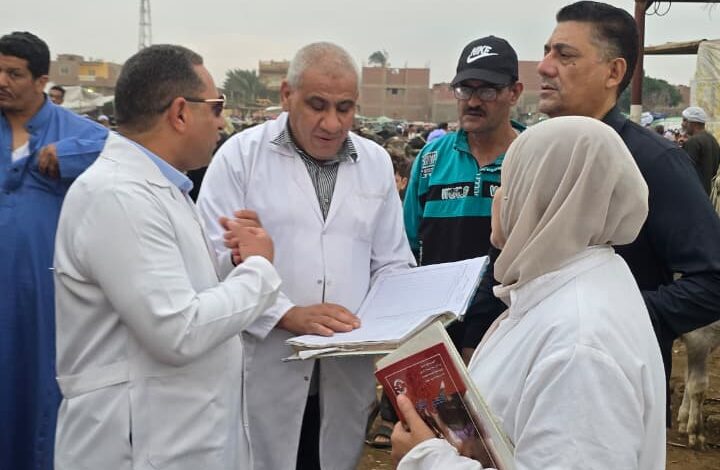 محافظ الجيزة