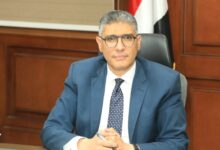 محافظ الجيزة