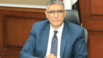 محافظ الجيزة