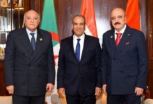 وزير الخارجية يعقد اجتماعاً ثلاثيا حول ليبيا مع نظيريه الجزائري والتونسي