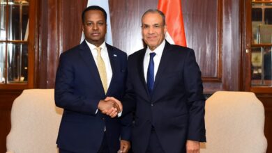مباحثات مصرية-صومالية حول سبل تعزيز الشراكة ودعم الأمن والاستقرار