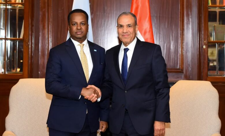 مباحثات مصرية-صومالية حول سبل تعزيز الشراكة ودعم الأمن والاستقرار مباحثات مصرية-صومالية حول سبل تعزيز الشراكة ودعم الأمن والاستقرار