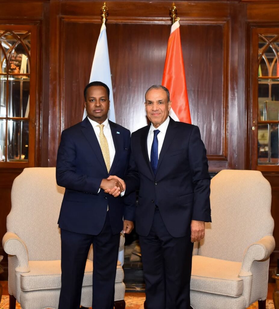 مباحثات مصرية-صومالية حول سبل تعزيز الشراكة ودعم الأمن والاستقرار
