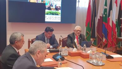 تحت رعاية جامعة الدول العربية.. إنطلاق أعمال المؤتمر الدولي للتنمية المستدامة بمشاركة عربية واسعة