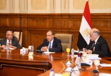 وزير الخارجية يجتمع مع أعضاء لجنة حقوق الإنسان والتضامن الاجتماعي بمجلس الشيوخ