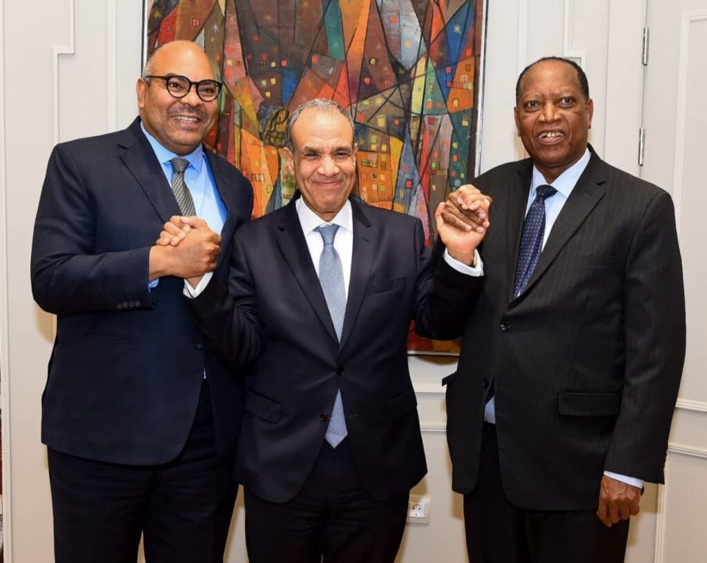 وزير الخارجية يلتقي نظيره التنزاني