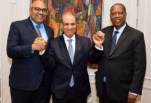 وزير الخارجية يلتقي نظيره التنزاني