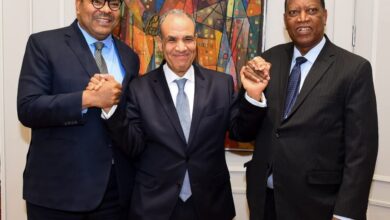 وزير الخارجية يلتقي نظيره التنزاني وزير الخارجية يلتقي نظيره التنزاني