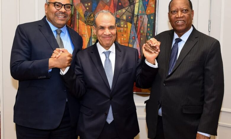 وزير الخارجية يلتقي نظيره التنزاني