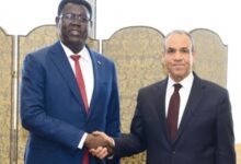 بدر عبد العاطي يؤكد في لقاء نظيره الجنوب سوداني دعم مصر للجهود الراميه إلي تحقيق الأمن والاستقرار في الجنوب