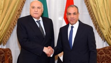 وزير الخارجية يلتقي نظيرة الجزائري