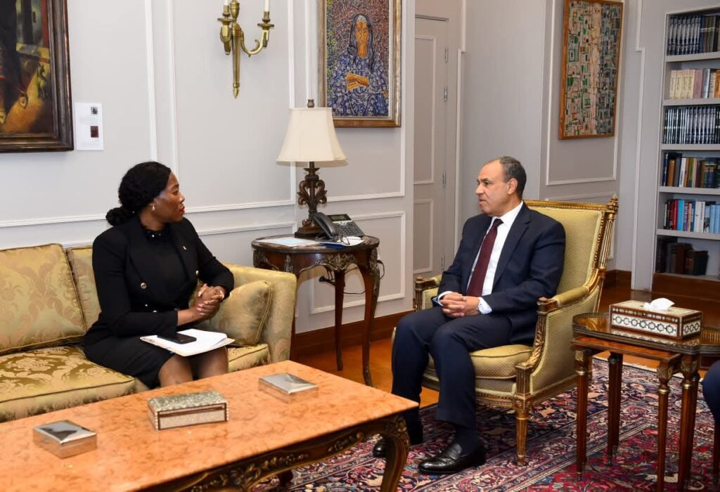 وزير الخارجية يلتقي نائبة وزير خارجية جنوب أفريقيا لبحث سبل تعزيز العلاقات الثنائية