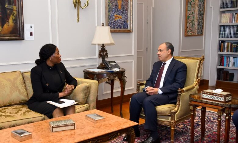 وزير الخارجية يلتقي نائبة وزير خارجية جنوب أفريقيا لبحث سبل تعزيز العلاقات الثنائية