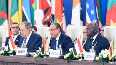 وزير الخارجية يستعرض رؤية مصر للأمن والتنمية في أفريقيا خلال المؤتمر الوزاري الثاني لمنتدى الشراكة الروسية-الأفريقية