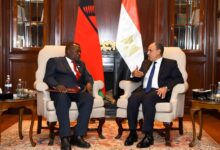 وزير الخارجية يلتقي نظيره المالاوي