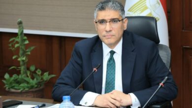 محافظ الجيزة: تحصين وتعقيم 1296 كلبًا ضالًا خلال شهر لمواجهة الظاهرة