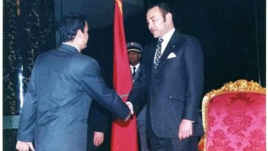 علموهم سياسة ودبلوماسية دي بلادنا مصر في قلوب كل الدول العربية