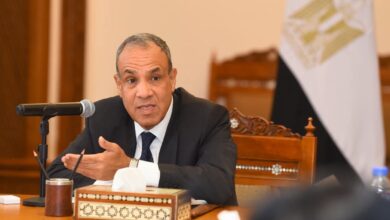 وزير الخارجية يؤكد على الدور المحورى للقطاع الخاص في تعزيز الشراكات الاقتصادية مع أفريقيا