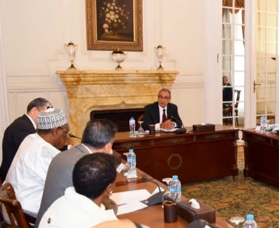 وزير الخارجية يلتقي بممثلي منظمات ومكاتب الاتحاد الأفريقي في مصر