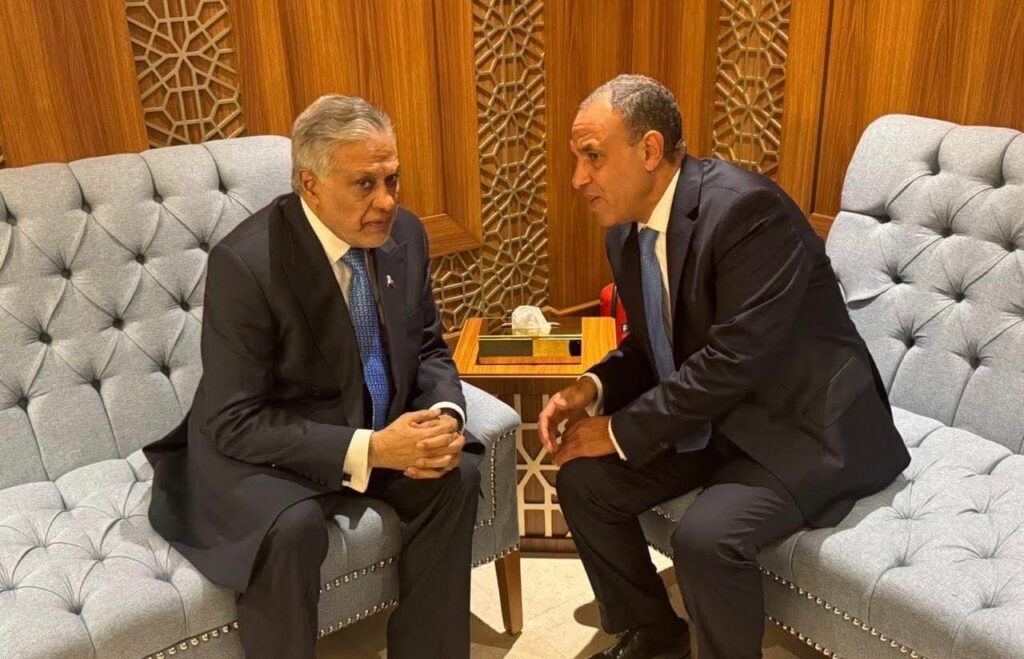 وزير الخارجية يلتقى نظيره الباكستاني ويبحثان تعزيز العلاقات الثنائية والتطورات الإقليمية