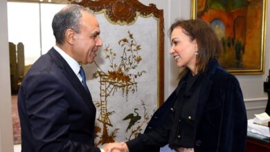 وزير الخارجية يستقبل وزيرة المشروعات الصغيرة والتنمية الدولية والشئون متعددة الثقافات الاسترالية