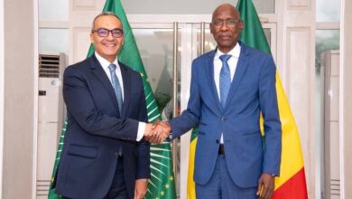 السفير المصري يلتقي وزير الخارجية السنغالي