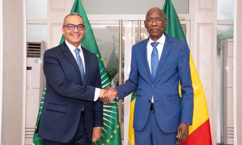 السفير المصري يلتقي وزير الخارجية السنغالي السفير المصري يلتقي وزير الخارجية السنغالي