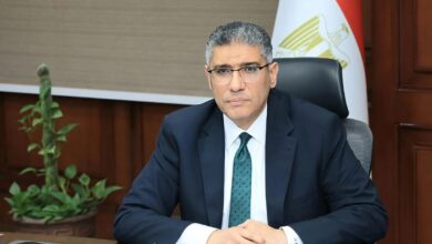 محافظ الجيزة يتابع انتظام تشغيل سوق اليوم الواحد بشارع الصوامع بحي إمبابة