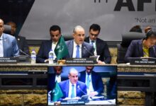 مصر تقود تحركاً أفريقياً داعماً لوحدة وسيادة كل من السودان والصومال خلال جلسة وزارية لمجلس السلم والأمن التابع للاتحاد الأفريقي