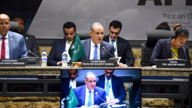 مصر تقود تحركاً أفريقياً داعماً لوحدة وسيادة كل من السودان والصومال خلال جلسة وزارية لمجلس السلم والأمن التابع للاتحاد الأفريقي