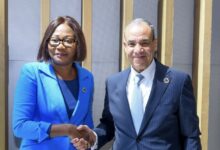 وزير الخارجية يلتقي وزيرة خارجية جمهورية أفريقيا الوسطى