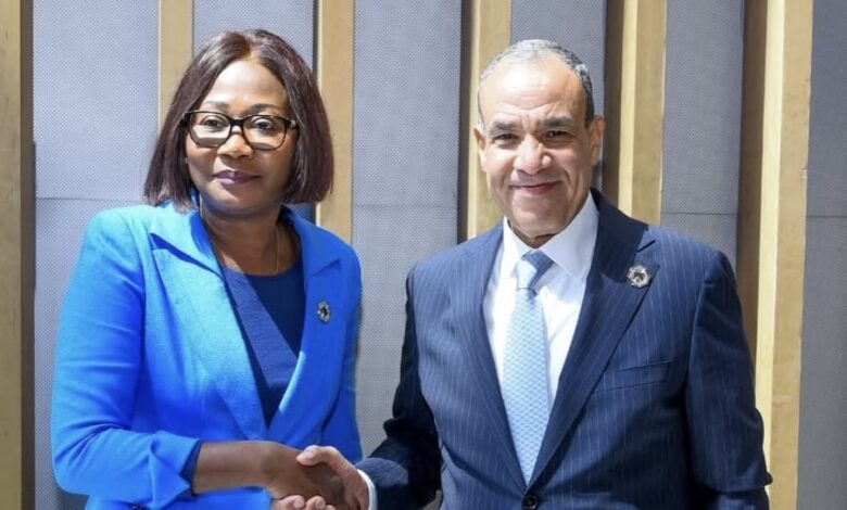 وزير الخارجية يلتقي وزيرة خارجية جمهورية أفريقيا الوسطى